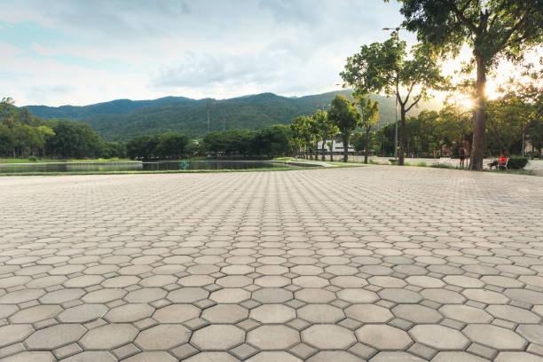 Best Professional Driveway Pavers  in Marion, MS
